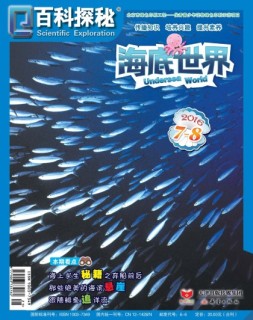 百科探秘·海底世界 16年7-8月合刊