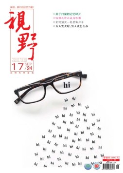 视野 16年第17期