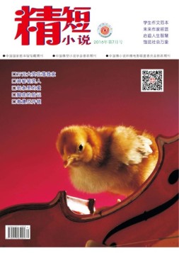 精短小说 16年第7期