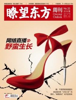 瞭望东方周刊 16年第33期