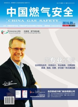 中国燃气安全 16年第9期