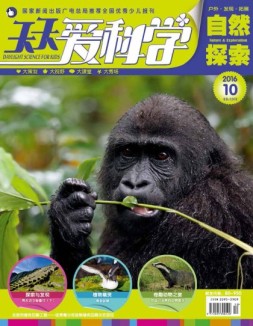 天天爱科学 16年10月号