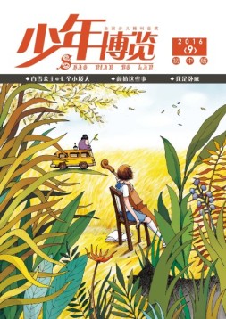 少年博览·初中版 16年9月号