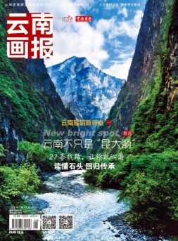 云南画报·云南旅游 16年第8期