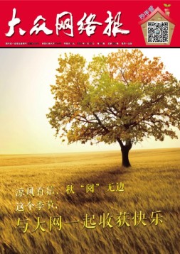 大众网络报 16年第37期