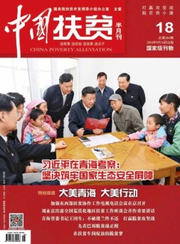 中国扶贫 16年第18期