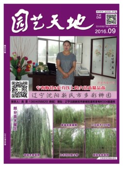 园艺天地 16年9月号
