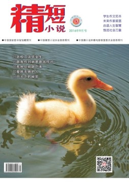 精短小说 16年第9期