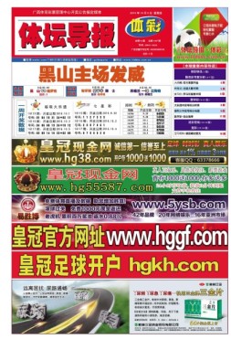 体坛导报 16年第1347期