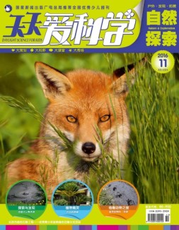 天天爱科学 16年11月号