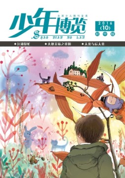 少年博览·初中版 16年10月号