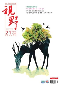 视野 16年第21期