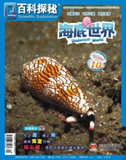 百科探秘·海底世界 16年10月号