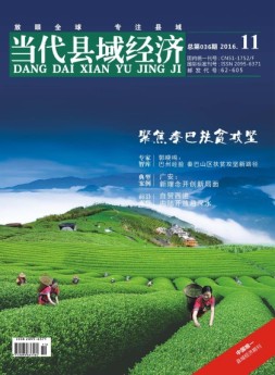 当代县域经济 16年11月号
