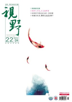 视野 16年第22期
