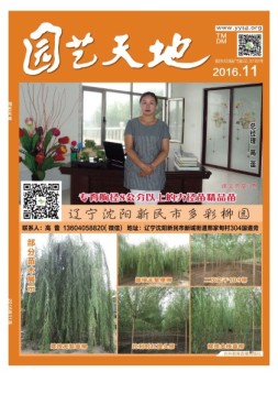 园艺天地 16年11月号