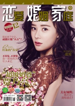 恋爱婚姻家庭 16年12月下