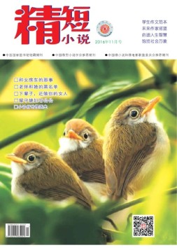 精短小说 16年第11期