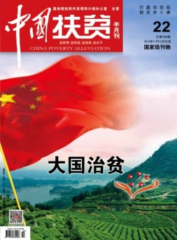 中国扶贫 16年第22期