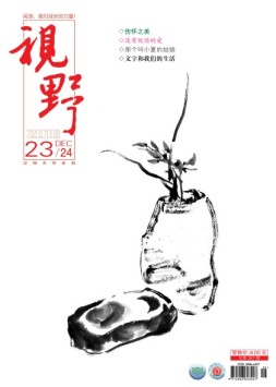 视野 16年第23期