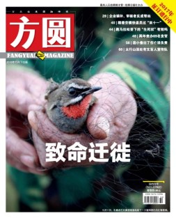 方圆 16年11月下