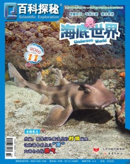 百科探秘·海底世界 16年11月号