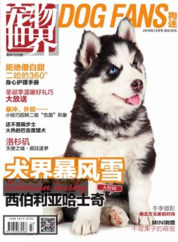 宠物世界·狗迷 16年12月号