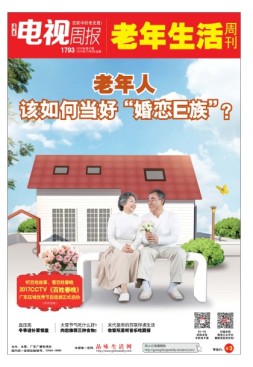 广东电视周报 16年第47期