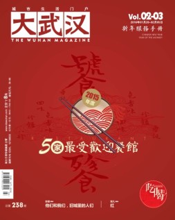 大武汉 16年第2-3期
