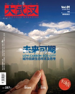 大武汉 16年第1期