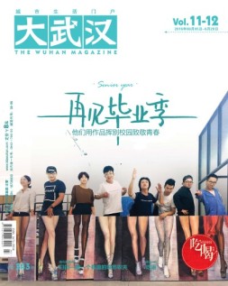 大武汉 16年第11-12期