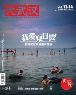 大武汉 16年第13-14期