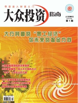 大众投资指南 17年1月号