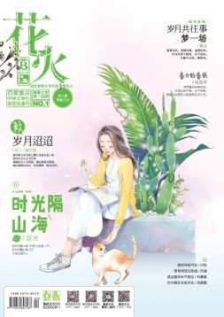 花火 17年1月B