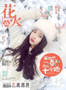 花火影像 17年1-2月合刊