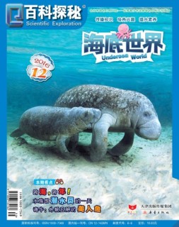 百科探秘·海底世界 16年12月号