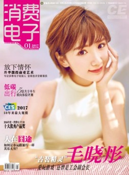 消费电子 17年1月号