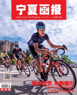 宁夏画报 16年第11-12期合刊