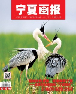 宁夏画报 16年第10期