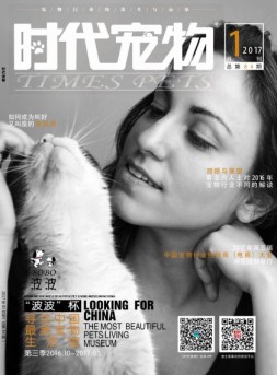 时代宠物 17年1月号