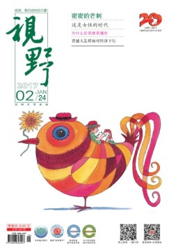 视野 17年第2期