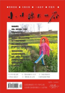 小小说大世界 17年2月号