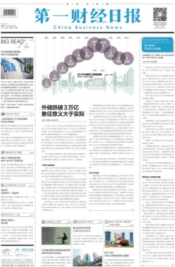 第一财经日报 17年第0208期
