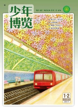 少年博览·小学高年级版 17年1-2月合刊