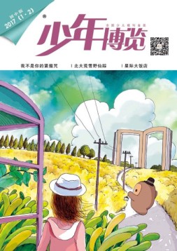 少年博览·初中版 17年1-2月合刊