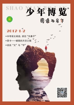 少年博览阅读与写作 17年1-2月合刊