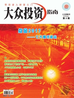 大众投资指南 17年2月号