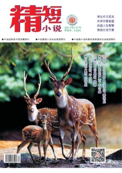 精短小说 17年第1期