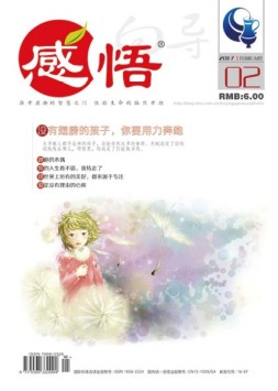 向导·感悟 17年第2期