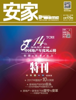 安家 17年2-3月号合刊